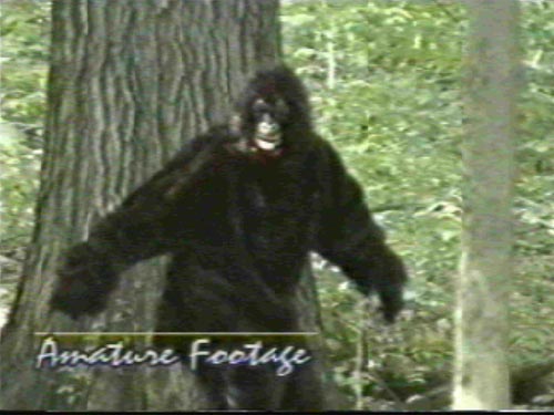 Dave as Bigfoot